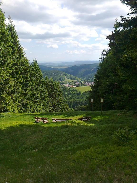 Hotel Zum Schneekopf "Garni" Gehlberg Екстер'єр фото