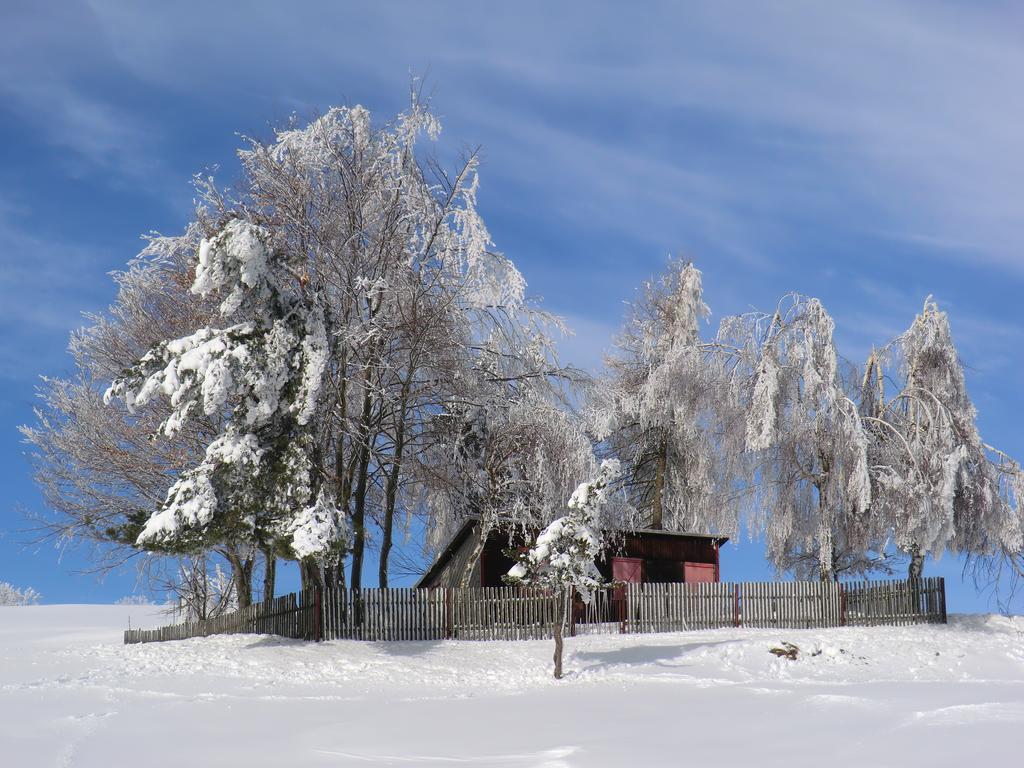 Hotel Zum Schneekopf "Garni" Gehlberg Екстер'єр фото